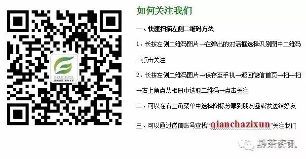 富硒茶产地是哪里的好