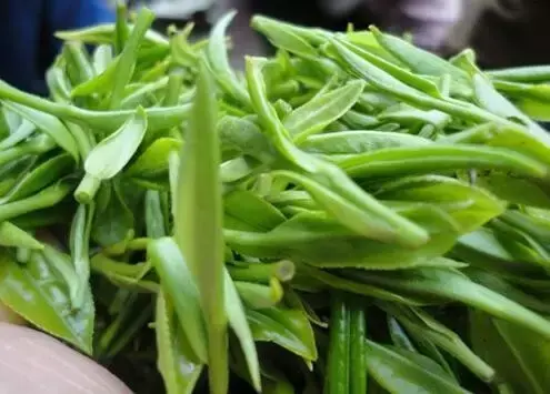 石台富硒野生茶多少钱