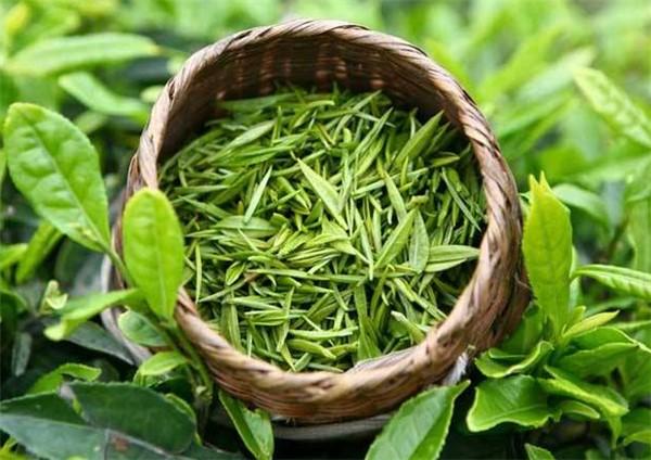 富硒茶叶宴是什么茶香