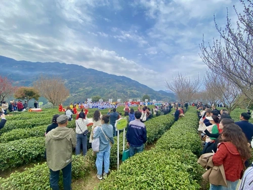 开阳富硒茶投有限公司