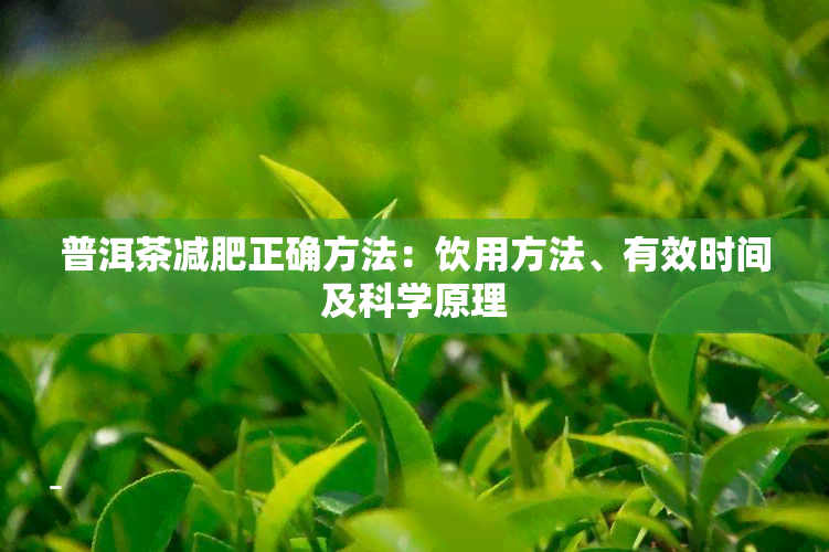 普洱茶减肥正确方法：饮用方法、有效时间及科学原理