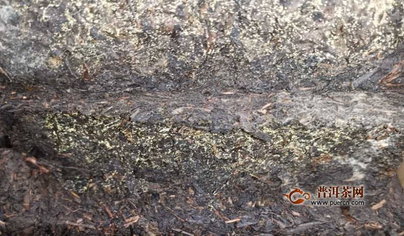 黑茶真的致癌吗？喝黑茶抗癌的案例！