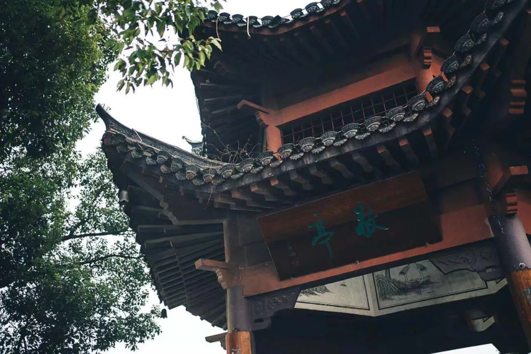 安徽秋浦富硒茶是真的