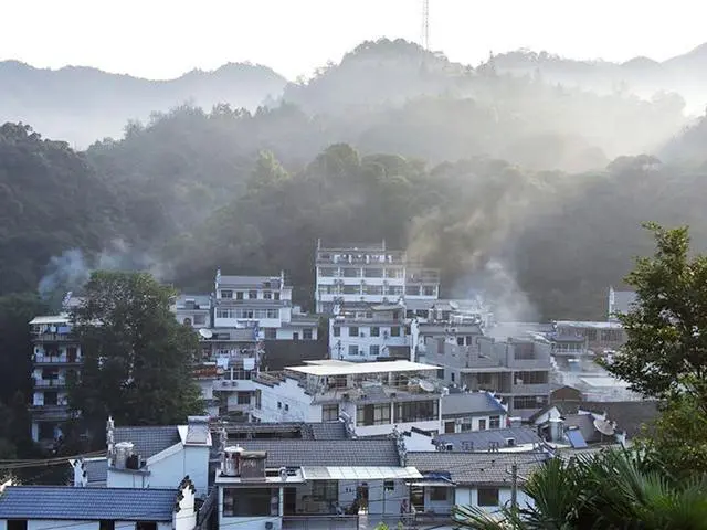 石台大山村天然富硒茶