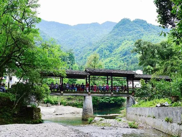 石台大山村天然富硒茶