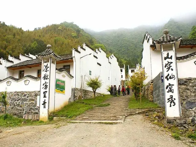 石台大山村天然富硒茶