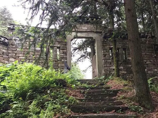 石台大山村天然富硒茶