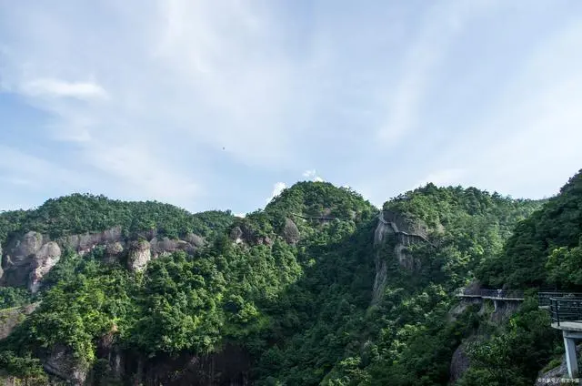 石台大山村天然富硒茶