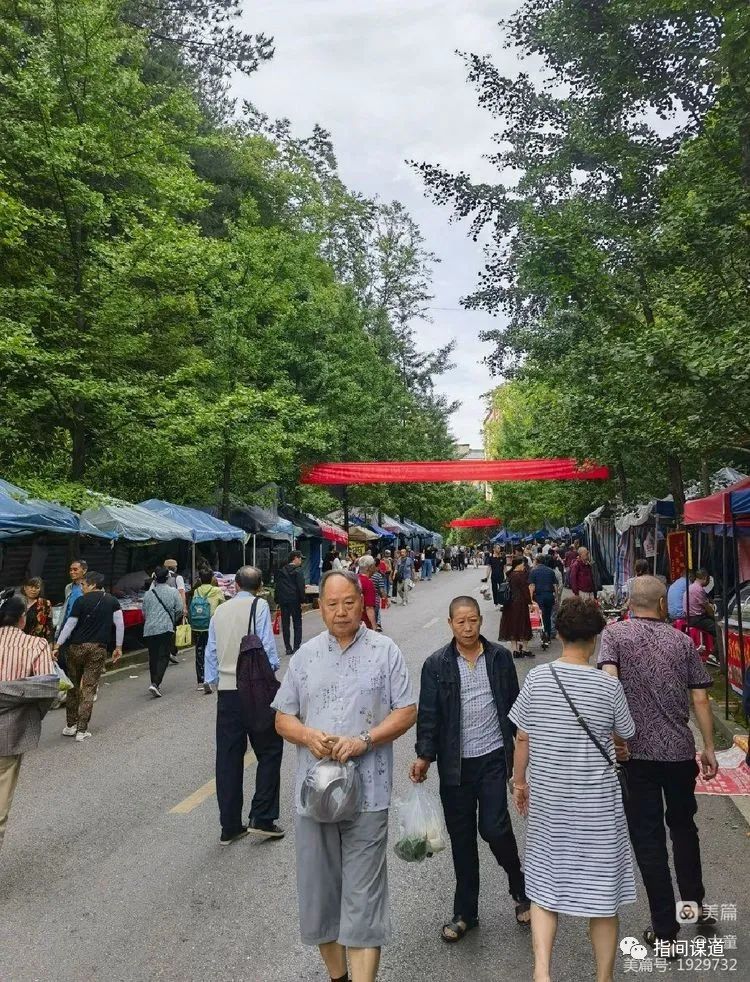 富硒藤茶有胃病能喝吗