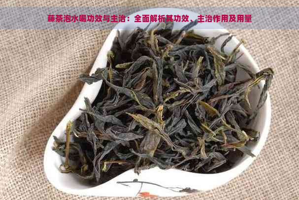 藤茶泡水喝功效与主治：全面解析其功效、主治作用及用量