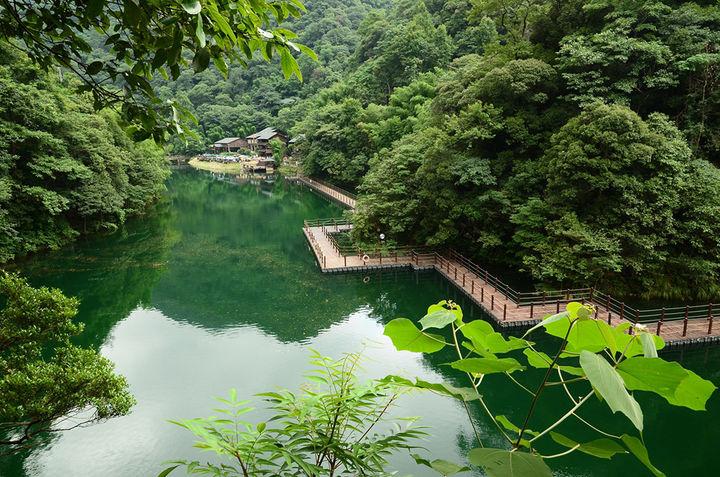 安徽池州市富硒茶贵吗