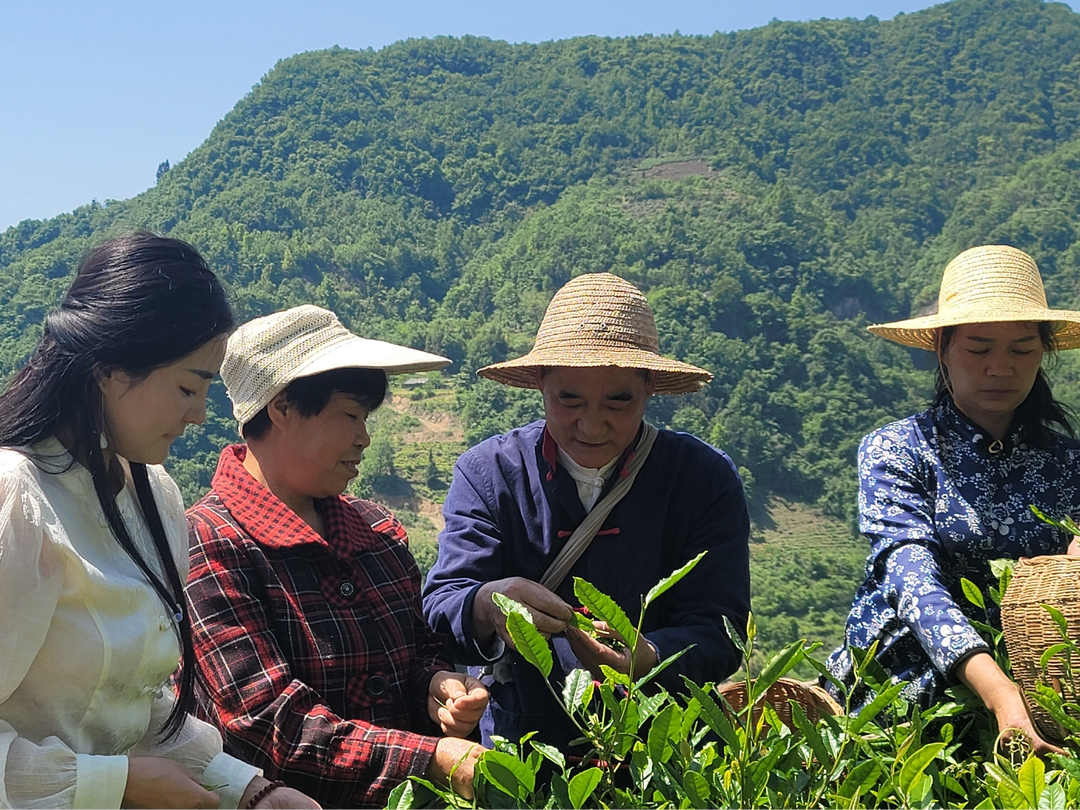 富硒茶可以用银杯泡吗