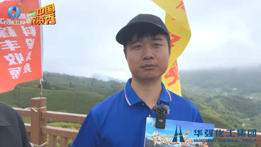 恩施富硒茶的市场价格