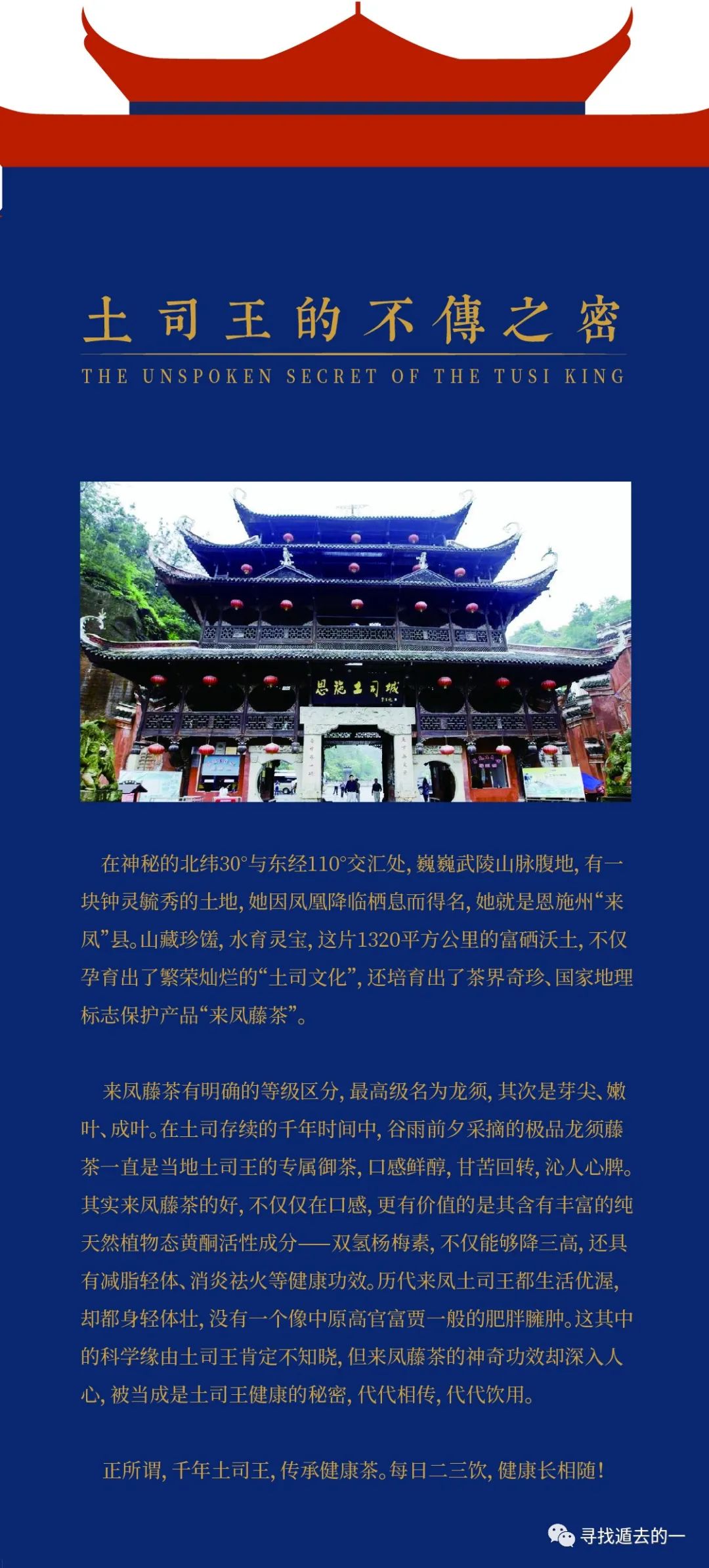 富硒藤茶排毒作用功效
