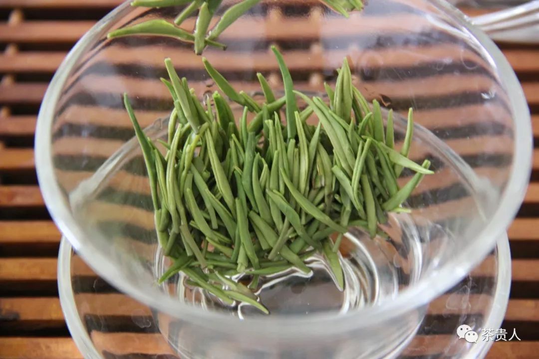 紫阳富硒茶王是谁做的