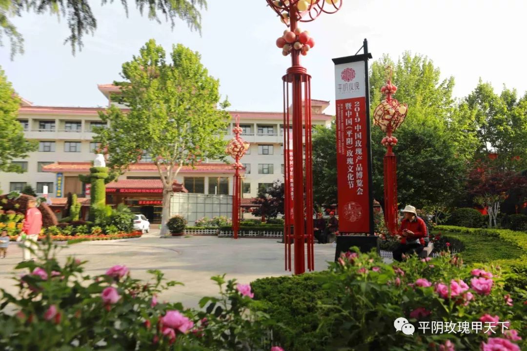 芳蕾富硒玫瑰茶多少钱
