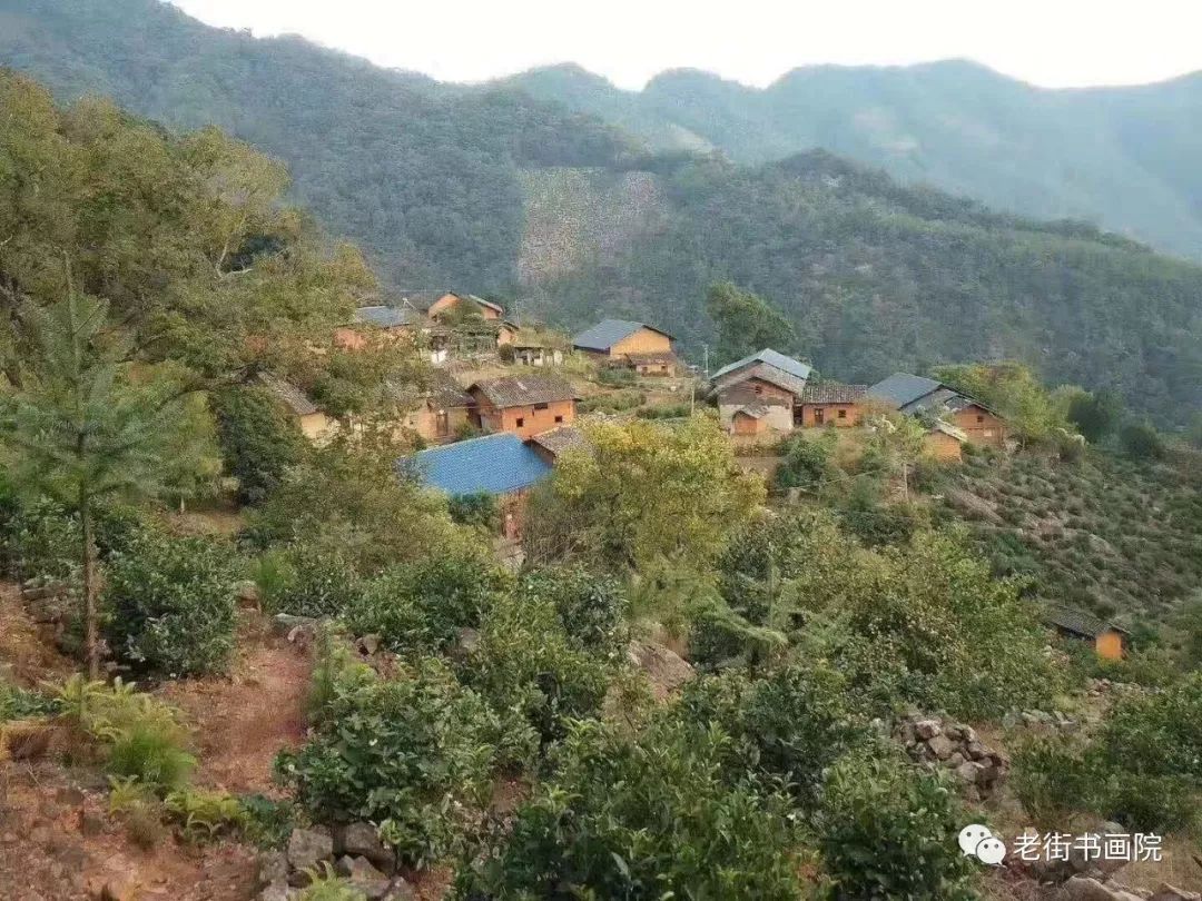 仙寓山富硒茶是红茶吗