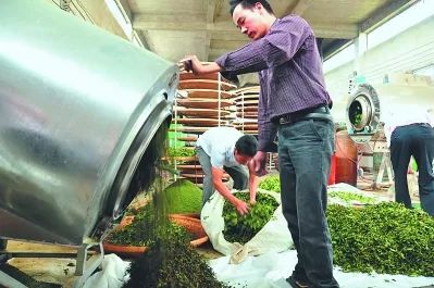 什么是八仙茶富硒元素