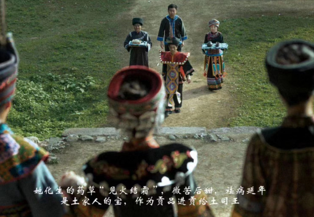 富硒养生茶什么时候喝