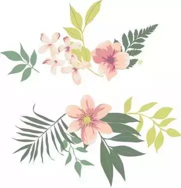 云南富硒八仙茶哪里买