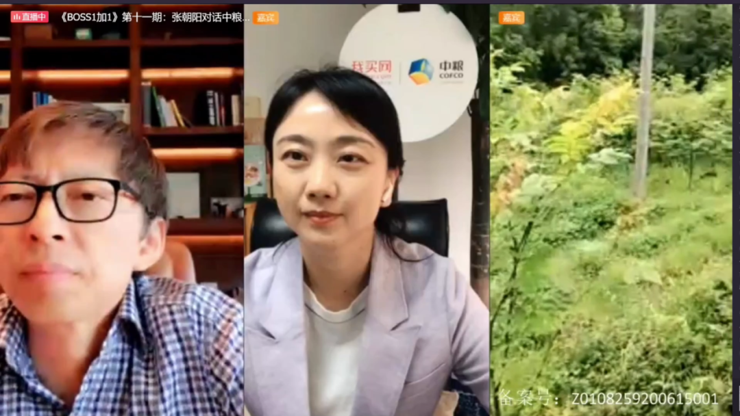 思慧益臣富硒青钱柳茶