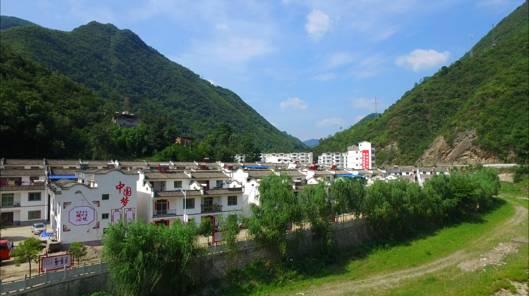 安康富硒茶百企进万家