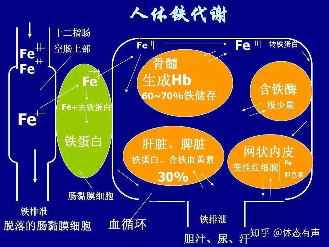 补铁公式
