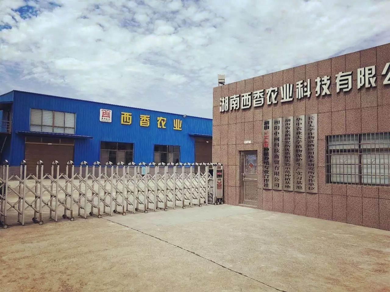 长沙有机富硒大米种植