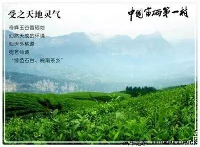 中国科技大学富硒大米