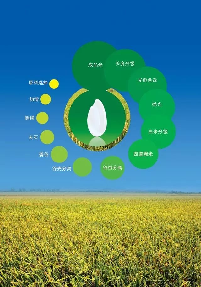 中国科技大学富硒大米