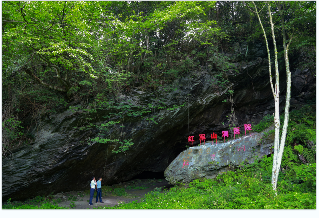 富硒富锌大米武功稻香