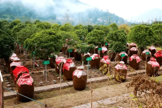 江西富硒生态大米产地