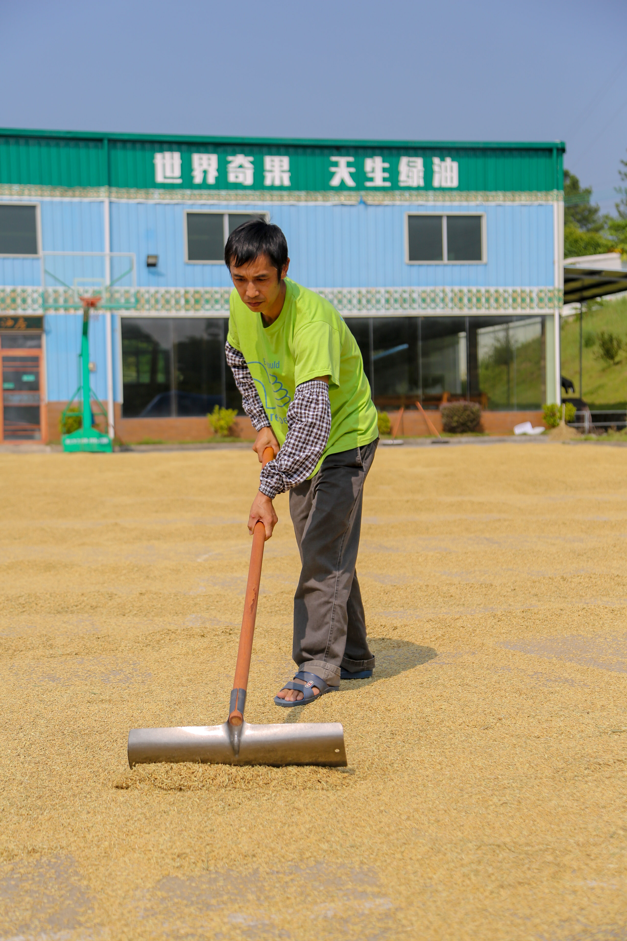 富硒大米种植项目介绍