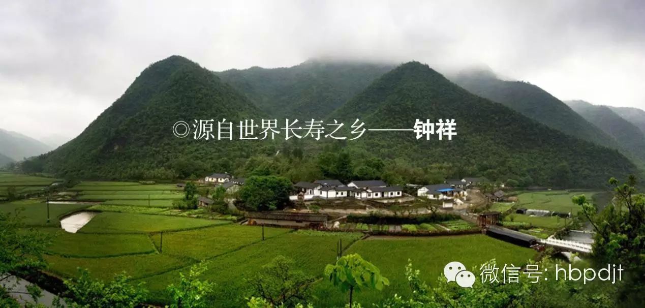 中国长寿之乡富硒大米