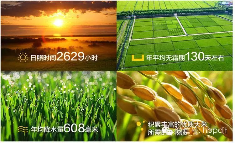 中国长寿之乡富硒大米