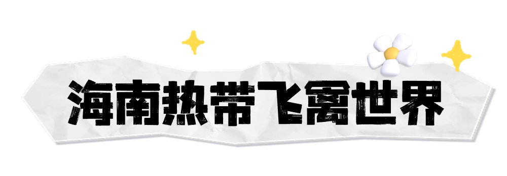 海南定安翰林富硒大米