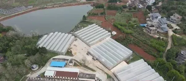 这是一张好米生长自好土壤，营养富硒，绿色环保，沁人“心田”！的配图