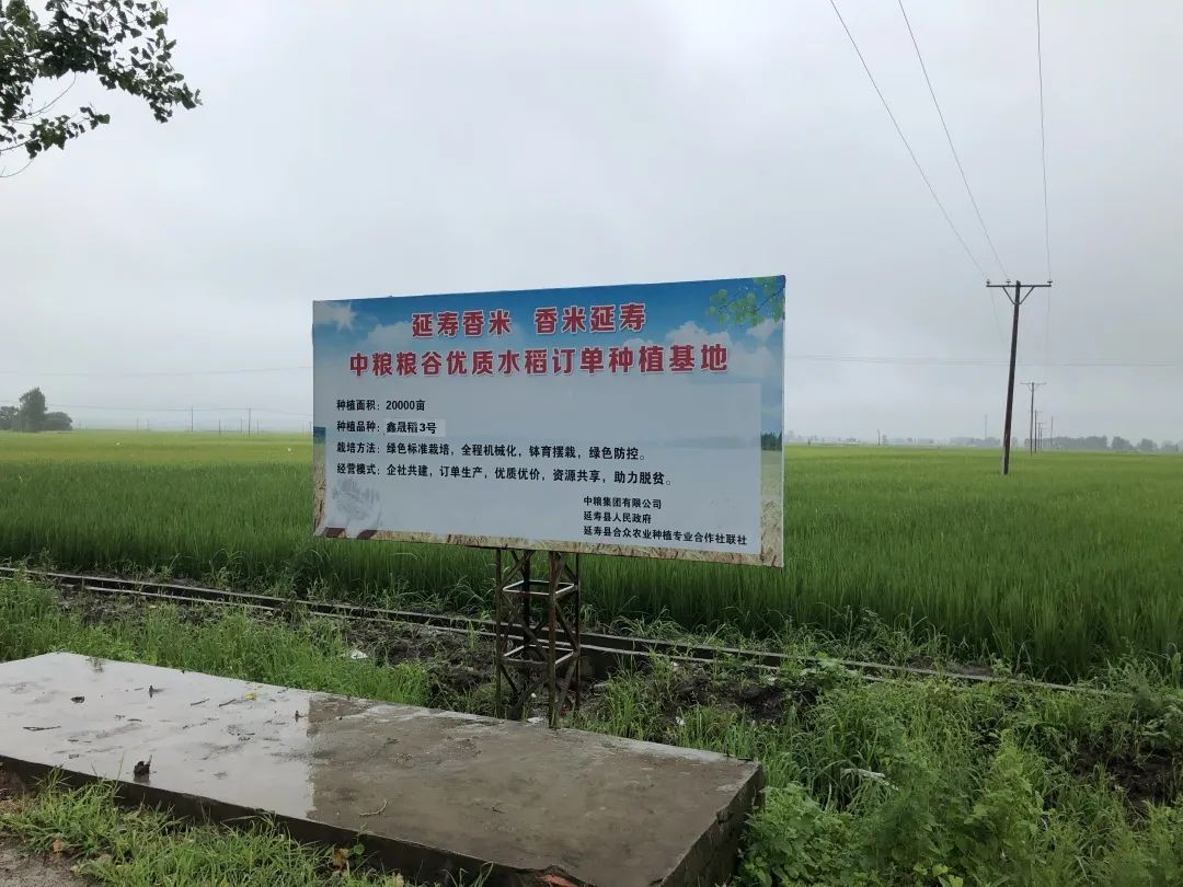 富硒大米扶贫产业项目