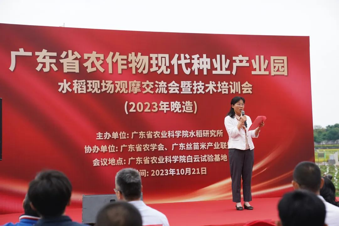 如何讲解富硒大米问题