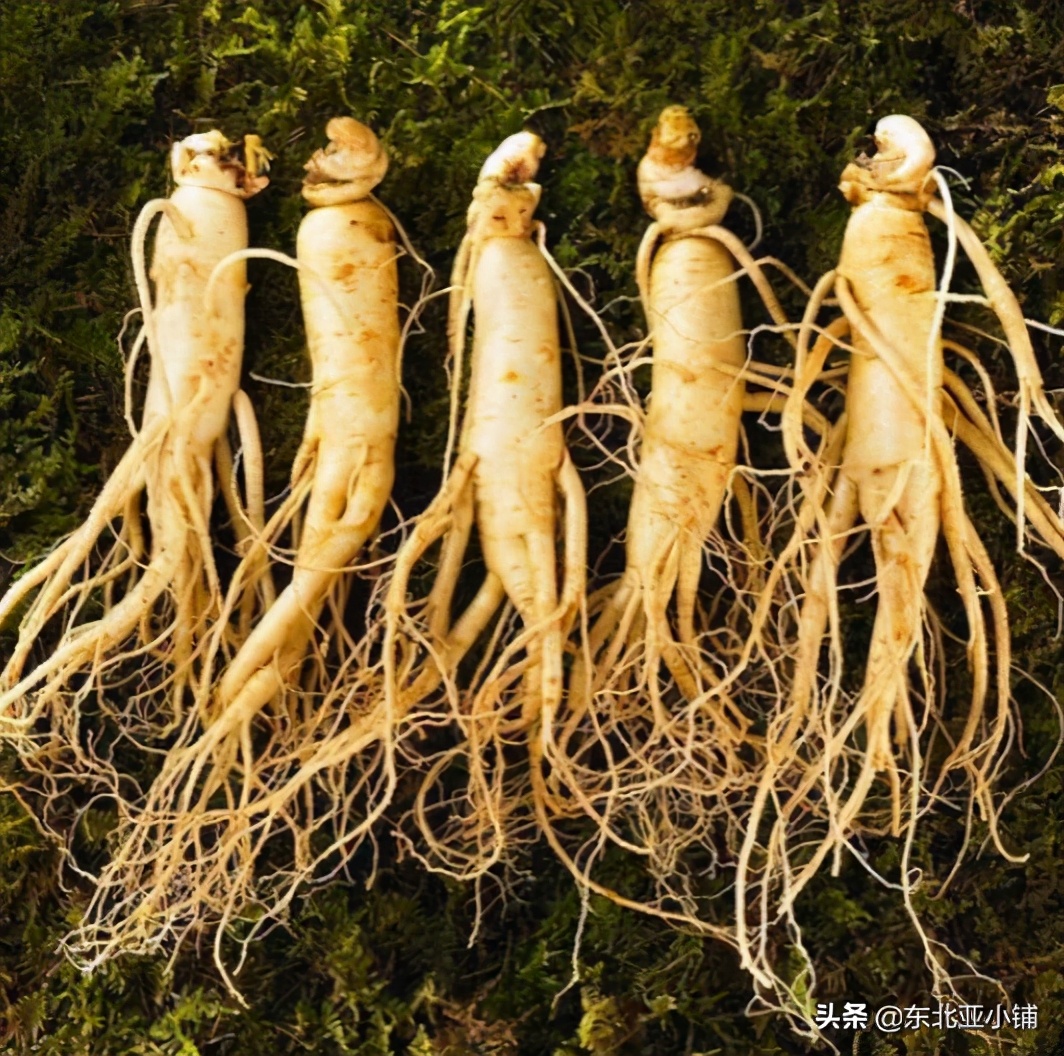 延吉富硒大米的成熟季