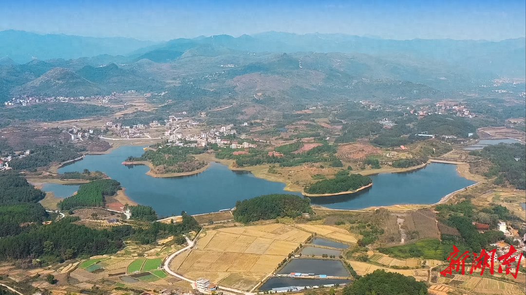 新田富硒大米在哪个村
