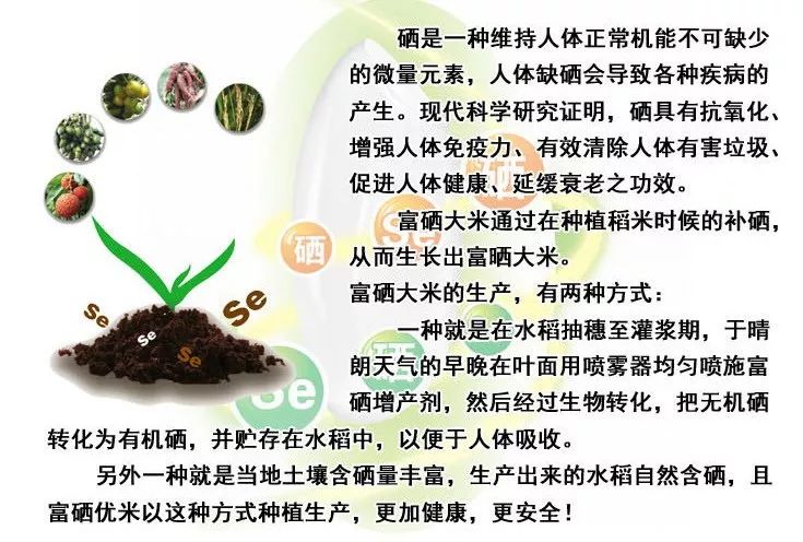 东北鸭田富硒有机大米