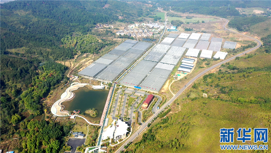 全南富硒大米价格多少