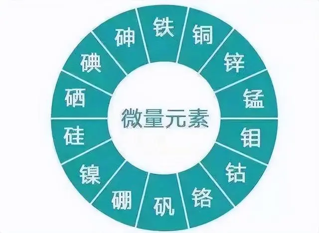 富硒大米是杂交水稻吗