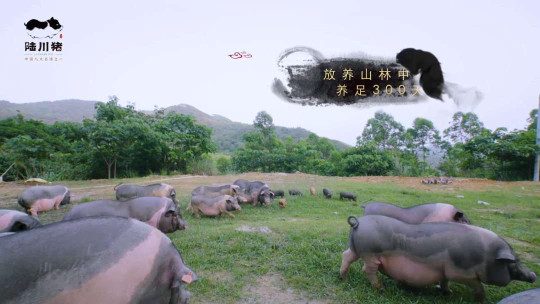 广西哪里的富硒大米好