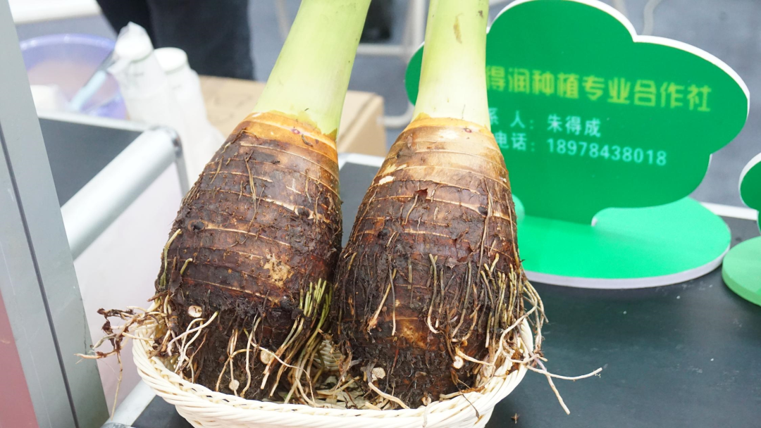 广西哪里的富硒大米好