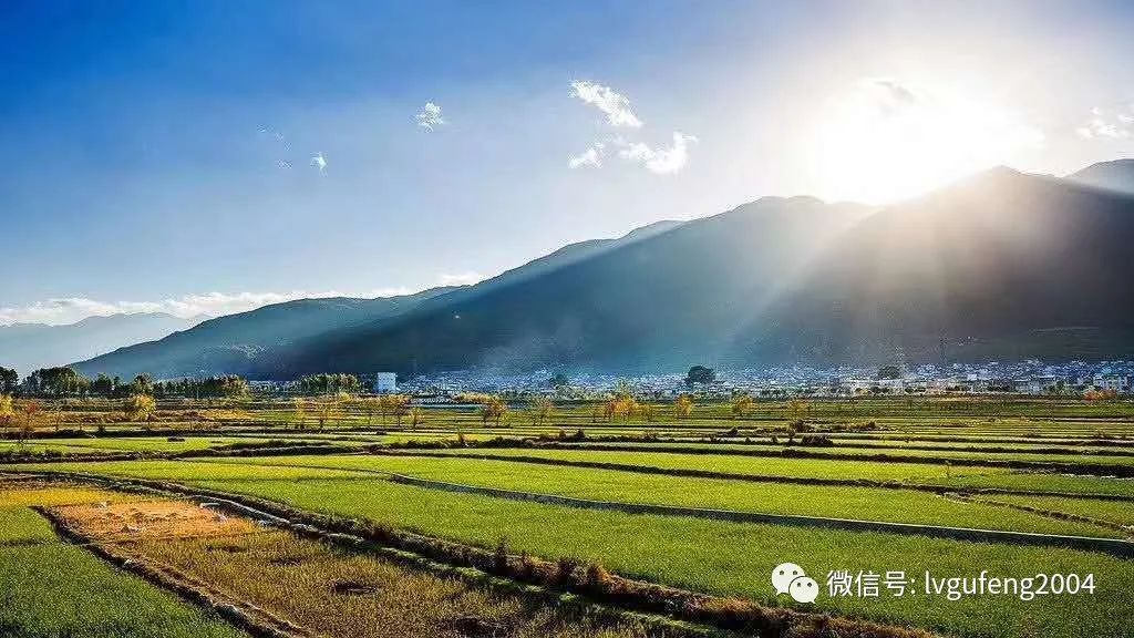 吉林富硒大米生产基地