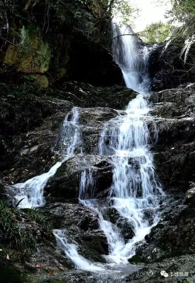 江西丰城丰城富硒大米