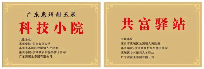 汝湖富硒大米价格多少