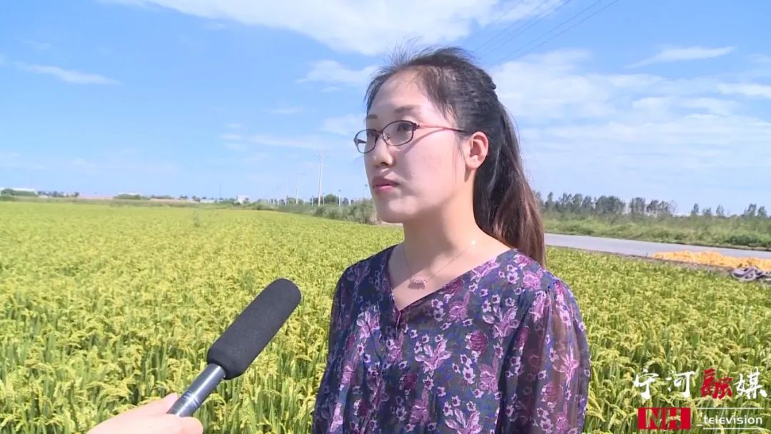 富硒蟹田大米有多好吃